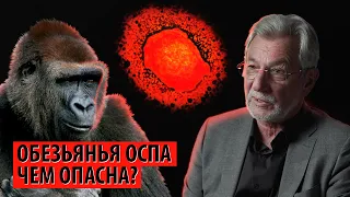 Обезьянья оспа - чем опасна? Будет пандемия? (Виталий Зверев)