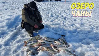 ВОТ ЭТО УДАРЫ! ПОПАЛ НА РАЗДАЧУ СУДАКА! ЩЕДРЫЙ ВЕСЕННИЙ ЛЁД