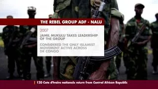 Demystifying the rebel group, ADF-NALU