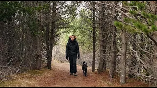 11 Best Dog Breeds For Off-Leash Hiking