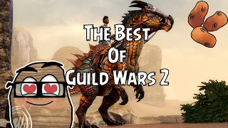 Guild Wars 2's Greatest Moments