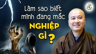 Làm sao biết mình đang MẮC NGHIỆP GÌ? - Thầy Thích Pháp Hòa