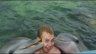 Секс с дельфином