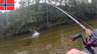 Pirma LAŠIŠŲ žvejyba Norvegijoje, Tressa upėje. Taisyklės, leidimų kainos. Salmon fishing in Norway