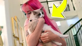 SURPRISING GIRLFRIEND WITH A KITTEN!