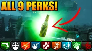 FREE DIY PERKAHOLIC! All 9 Perks NO Gobblegums! 'Origins' Remastered DLC 5 Tips & Tricks!