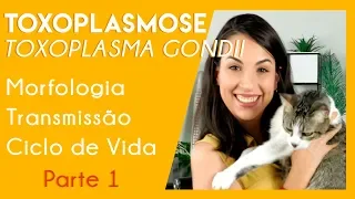 Toxoplasmose: toxoplasma gondii + DICAS PARA SUA PROVA PRÁTICA | Parte 1 | PARASITOLOGIA #4