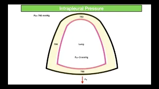 INTRAPLEURAL PRESSURE