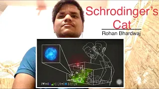 Parallel Worlds Probably Exist - Schrodinger Cat -  Veritasium | Reaction & Review