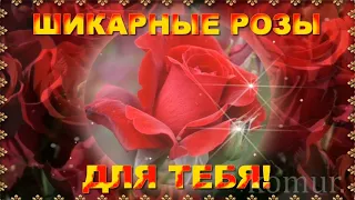 ШИКАРНЫЕ РОЗЫ ДЛЯ ТЕБЯ! красивая музыкальная открытка  komur