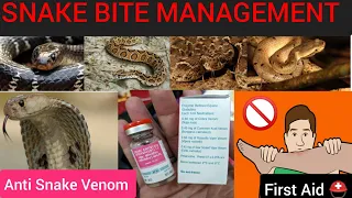 Snake Bite Management | First Aid In Snake Bite | Antisnakevenom