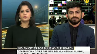 Deadly Blue Whale Game; Indian cities top Blue Whale search