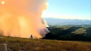 Португалия: лесные пожары удалось взять под контроль