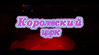 Это 👉представление 🤩нас поразило!(Королевский цирк)/This 👉performance 🤩amazed us!(полная версия)