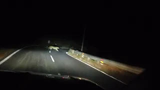 Tiger or Leopard crossing on night drive to Nainital Himalayas!