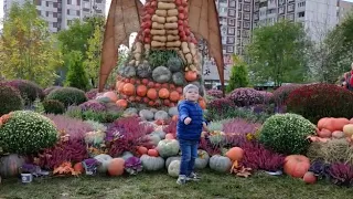 Золота́я осень 2018 в Новокосино, Москва.