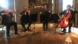 While My Guitar Gently Weeps String Quartet. Capella String Quartet Glasgow