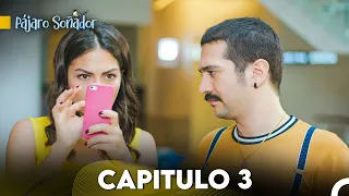 Pájaro soñador - Capitulo 3 (Audio Español) | Erkenci Kuş