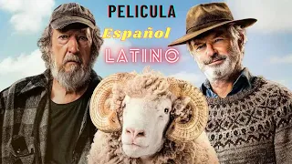 RAMS - La MEJOR PELICULA de ANIMALES 2022 | HD | Peliculas Completas en ESPAÑOL LATINO