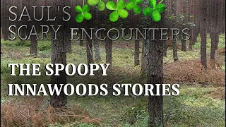 SAUL'S SCARY ENCOUNTERS - THE SPOOPY INNAWOODS STORIES