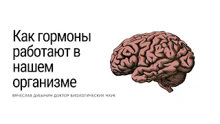 Вячеслав Дубынин Как гормоны работают в нашем организме? (МФК весна 2021 Химия мозга 12)