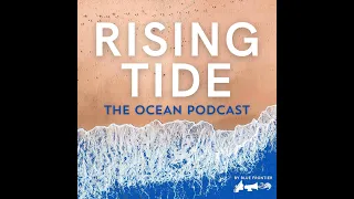 Rising Tide #101 - Whale Rescuer Kathi George