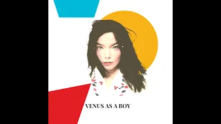 Venus as a boy by BJÖRK (remix, how it should’ve been)