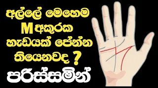 ඒකෙන් කියවෙන්නේ මොකද්ද? හොදක්ද? නරකක්ද? -  I Will Read Your Palm sinhala