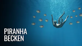 Was wäre, wenn Du in ein Piranha-Becken fallen würdest?