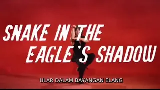 NOSTALGIA MOVIE JACKIE CHAN 🔥Snake in the Eagle s Shadow (1978)🔥 SUB INDO part 2