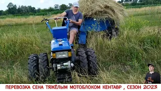 ПЕРЕВОЗКА СЕНА ТЯЖЁЛЫМ МОТОБЛОКОМ КЕНТАВР,СЕЗОН 2023 / TRANSPORTATION OF HAY BY MINI TRACTOR