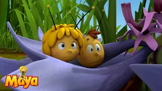 Dance with the wasps - Maya the Bee🐝🍯🐝