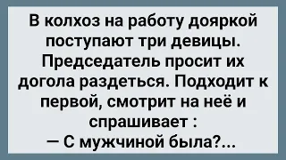 Как Председатель Брал на Работу Доярок! Сборник Свежих Анекдотов! Юмор!