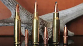 243 vs 308 vs 7mm-08: Which Should You Use?