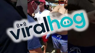 Baby Nurse Shark Latched onto Mans Arm at Beach || ViralHog