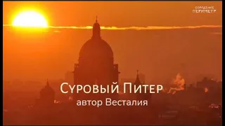 Суровый Питер #Питер #поточныестихи #Периметр #школаСорадение