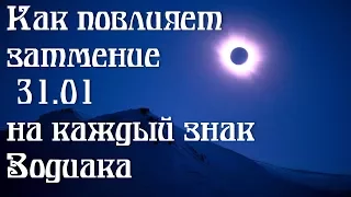 Как повлияет полное лунное затмение 31.01 на каждый знак Зодиака