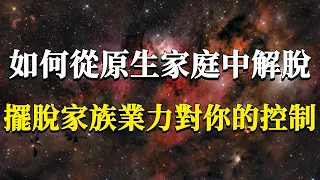 我們該如何從原生家庭中解脫，擺脫家族業力對你的控制？家族業力的底層運行邏輯分析！#能量#業力 #宇宙 #精神 #提升 #靈魂 #財富 #認知覺醒 #修行