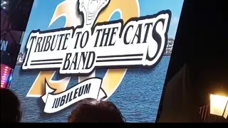 Tribute to the cats band jubilium|Europaplein 2022