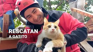 Rescatan a gatito que estaba atrapado en los escombros tras el sismo en Turquía