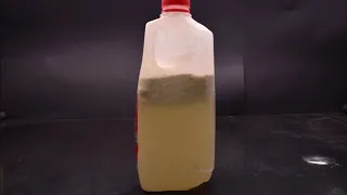 Expired Milk Under the Microscope