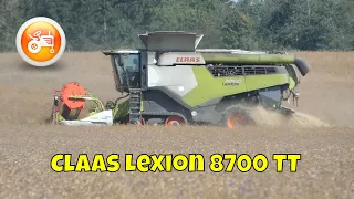 Harvest 2022 | Claas Lexion 8700 combine & Convio 930 header