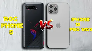 Asus ROG Phone 5 vs iPhone 12 Pro Max - Comparison & Price