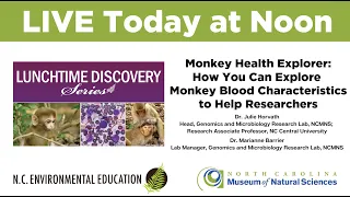 Lunchtime Discovery: Monkey Health Explorer