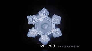 Dr. Emoto's Water Experiment