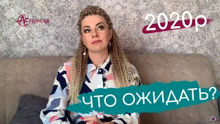 Что ожидать от 2020 года?  Особенности года Белой Металлической Крысы