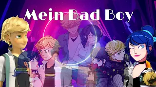 Mein Bad boy #1 ||Ein MÄDCHEN will in unseren Team sein|| {Miraculous _Storys}