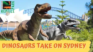 Dinosaurs Escape to Sydney | Australian Reptile Park