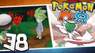 Pokémon Omega Ruby and Alpha Sapphire - Episode 38 | Victory Road!