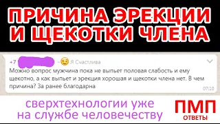 Причина эрекции и щекотки члена